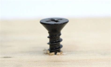 3 Best Screw For Plywood Updated October 2023