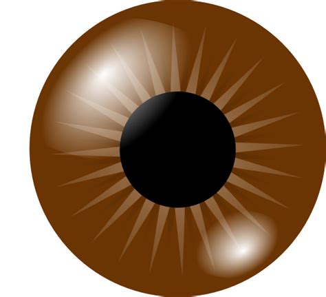 Brown Eye Clip Art At Vector Clip Art Online Royalty Free And Public Domain