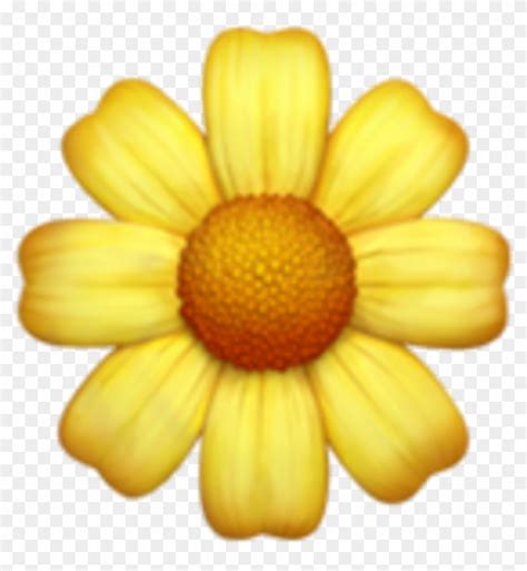 Apple logo beats 1 logo new emojis from emoji 13.1 are now available in ios 14.5. Iphone Emoji Flowers Daisy - Iphone Flower Emoji Png ...