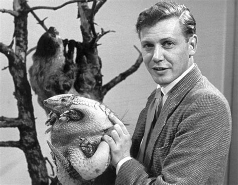 Young naturalists have become an extinct species in the british countryside, sir david attenborough and chris packham have said. 20 best images about David Attenborough on Pinterest ...