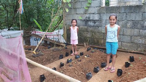 Vegetable Farming In Aklan Philippines Gffhelps