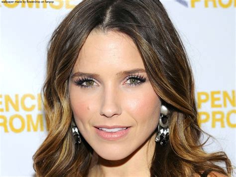 Sophia Bush Wallpaper Lovely Sophia Wallpaper ☆ Sophia Bush Hair Wavy Hairstyles Medium