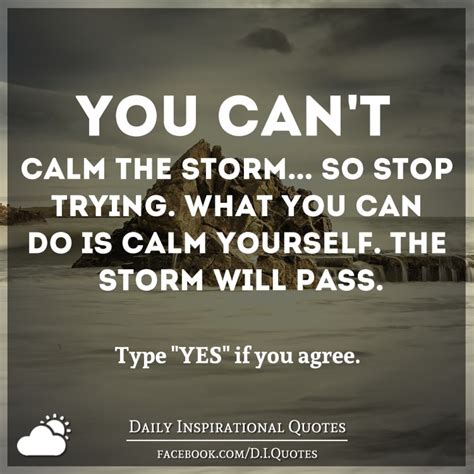 You Cant Calm The Storm So Stop Trying What You Can Do Is Calm Yourself The Storm Will