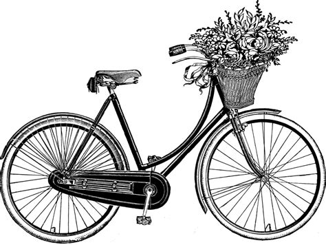 Line Art Of Bicycle With Flower Basket Bicycle Drawing Vintage