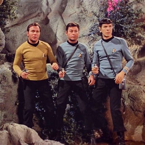 The Original Series Kirk Bones And Spock Star Trek Captain Kirk