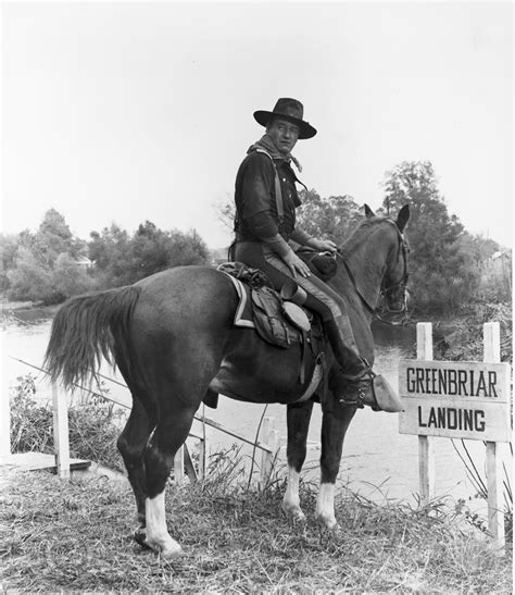 John Wayne Horse