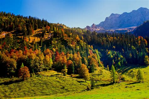 Forest Landscape With Mountains 4k Wallpaper