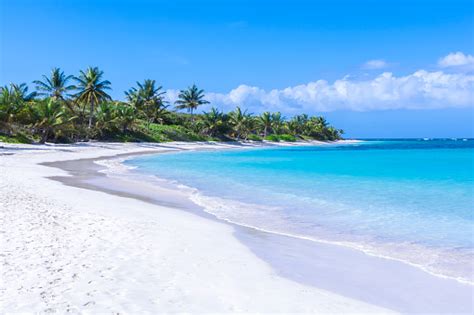 Beautiful White Sand Caribbean Beach Stock Photo Download Image Now