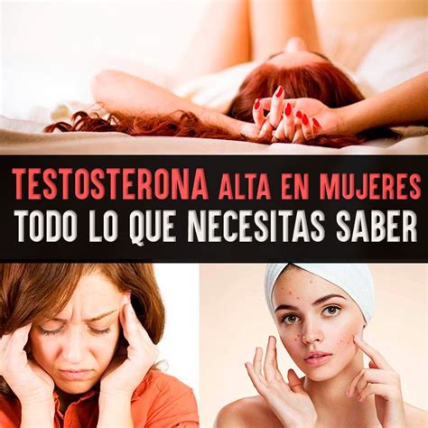 testosterona alta en mujeres todo lo que necesitas saber la guía de las vitaminas