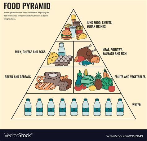 Food Pyramid Healthy Eating Infographic Healthy Vector Image