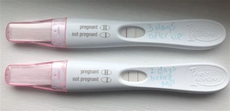 Got A Pregnancy Test With A Faint Line What It Actually Means 2024