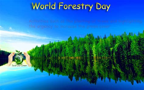 International Day Of Forests Save Our Green