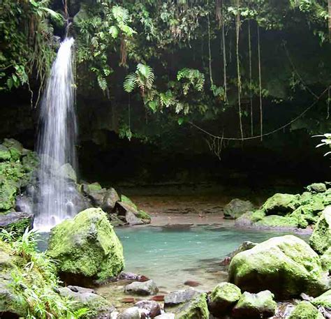 Top Things To Do In Dominica Lonely Planet