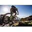 Tips To Pick Budget Mountain Bike For Outdoor Trip  Life Under Sky