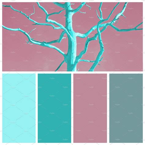 Mint And Pink Color Palette High Quality Abstract Stock Photos