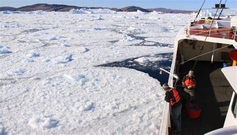 Nasa Project Reveals Vulnerability Of Greenland Glaciers