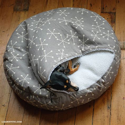 Do you want pillow made out of your friend or car that you always dream of? 15 Ways to Sew For Your Pets - Hobbycraft Blog