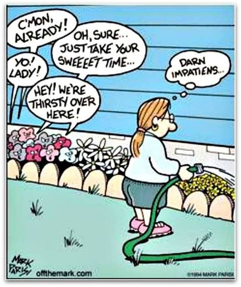 Pin By Judy Harmon On Makes Me Smile Laugh Gardening Humor Gardening Memes Friday Humor