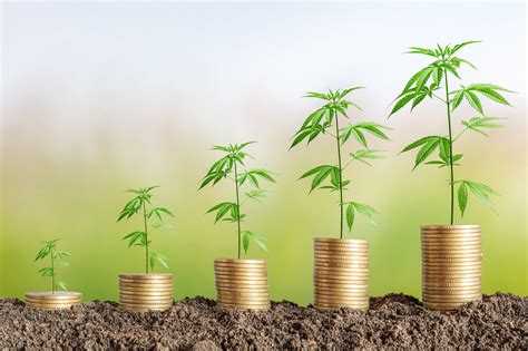 Guide To Securing Cannabis Business Funding