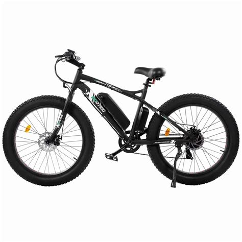 Ecotric 26 Inch Beach Snow Fat Tire Electric Bike Electric Wheels