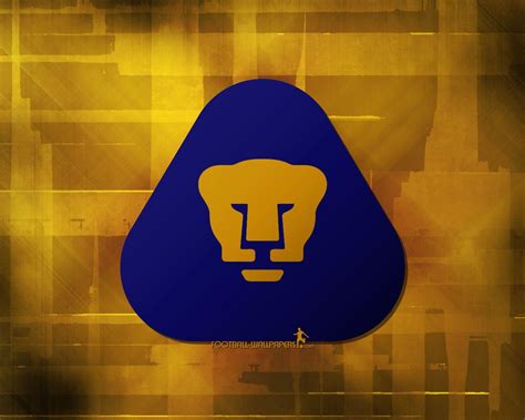 Icon sports pumas unam scarf reversible and beanie logo 2020 2021 hat gorra soccer gear for men official and bracelet p2. Pumas UNAM Wallpapers - Wallpaper Cave