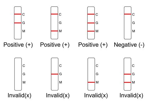With the rapid pcr test, the result is available after two and a half hours. COVID-19 Antibody Rapid Test Kit | Coronavirus IgG IgM ...