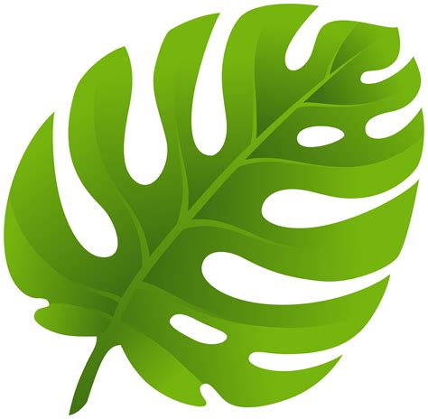 Hoja Verde Png Vectores Psd E Clipart Para Descarga Gratuita Pngtree