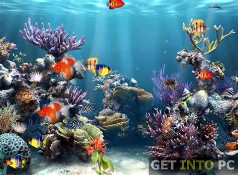 Fish Aquarium 3d Screensaver Download Aquarium 3d Screensaver Pictures 
