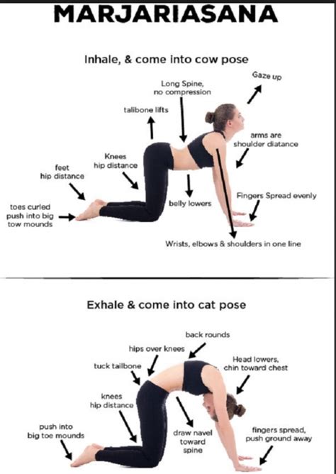 4,167 likes · 504 talking about this. simple benefits of cat cow pose image - Yoga Poses