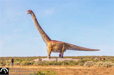 The Dinosaurs Of Patagonia Argentina • Trans Americas Journey