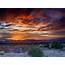 Sunset Desert Area Sand Bushes Landscape Wallpaper Hd 3840x2400 