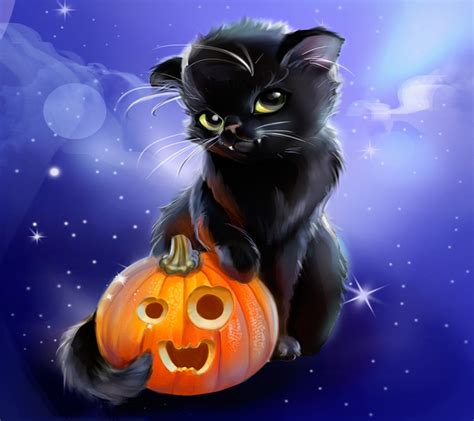 10 New Cute Cat Halloween Backgrounds Full Hd 1920×1080