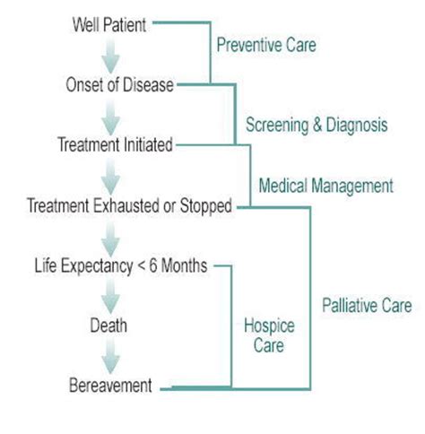 Approach To End Of Life Care Ochsner Journal