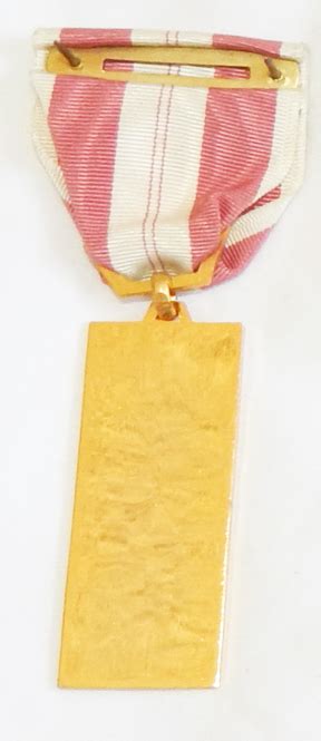 Vietnam Era 1957 1975 Medals Training Service Medal