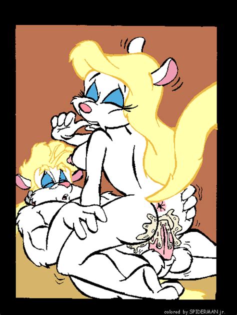 Rule 34 Animaniacs Comic Cowgirl Position Female Male