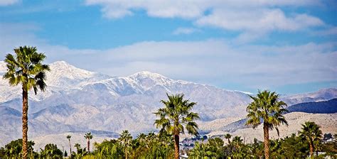 Snow Covered Mountain Peaks And Palm Trees From Desert Hot Springs