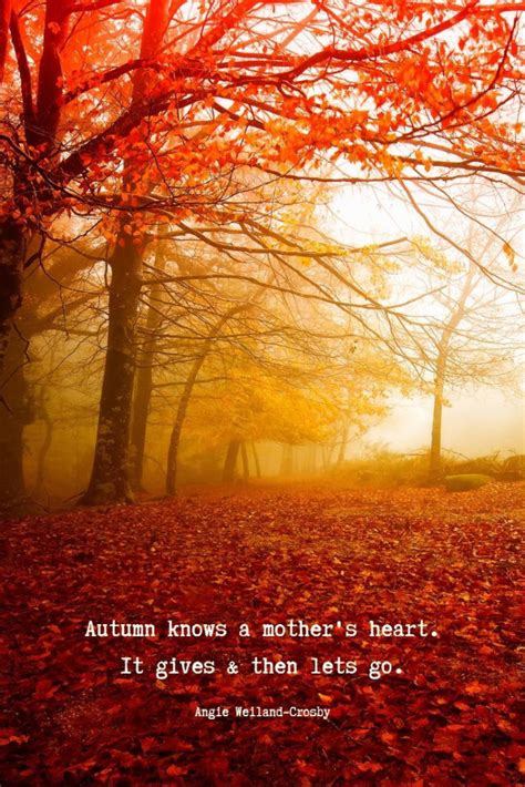 Autumn Quotes On Beautiful Pictures That Will Enchant Autumn Quotes