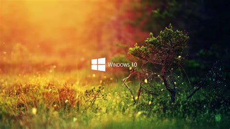 Beautiful And Elegant Windows 10 Wallpaper 3d Wallpaper Arts