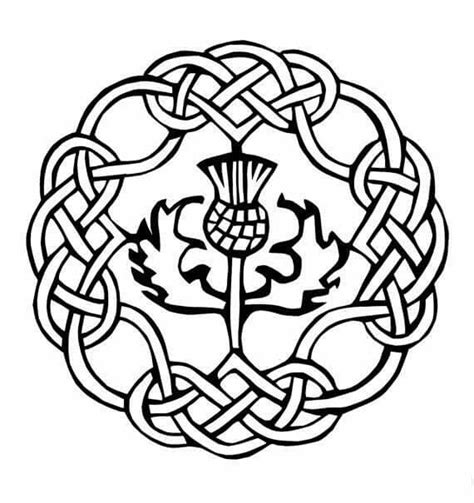Scottish Thistle Celtic Celtic Symbols Celtic Art