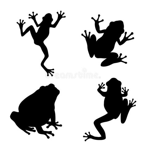 Frog Silhouette Stock Illustration Illustration Of Amphibian 13927459