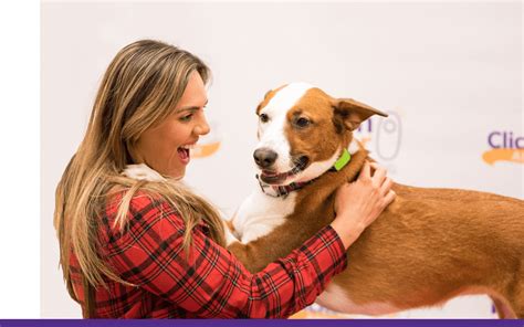 The spi is the only internationally recognized single pitch climbing instructor certification program in the united states. Become A Professional Dog Trainer Courses - Certification ...
