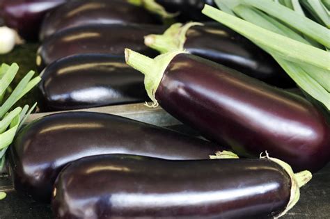 man cracks penis during sex diagnosed with eggplant deformity