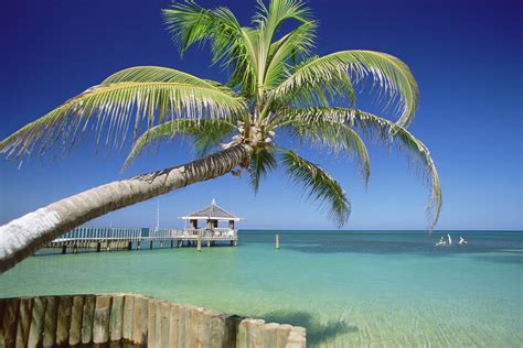 The Best Caribbean Islands To Visit In August Usa Today