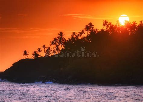 Tropical Beach On Sunset Stock Image Image Of Rock 101964073