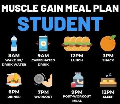 Muscle Gain Meal Plan Food To Gain Muscle Muscle Food Nutrition