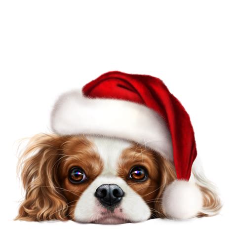 Épinglé Par Carolina Cervasio Sur Perro Chien Noel Animaux De Noël