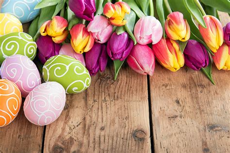 Images Easter Eggs Tulips Flower Holidays Boards