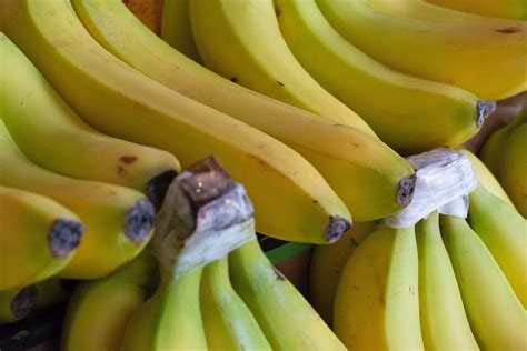 Fruit Bundle Of Bananas Banana Image Free Photo