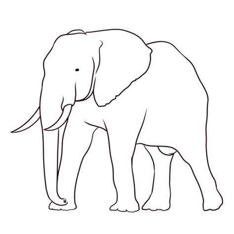 Dibujos De Elefantes Para Colorear Faciles Dibujos Para Colorear Sexiz Pix