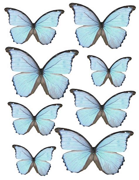 Free Blue Butterflies Butterfly Printable Butterfly Images